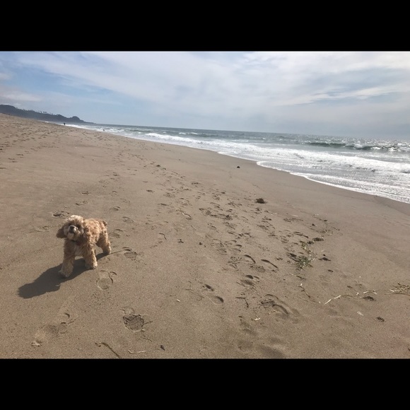 Meet your Posher, Carolyn - Picture 1 of 1